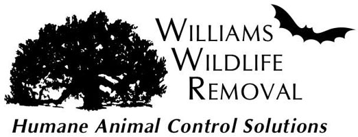 Williams Wildlife Removal